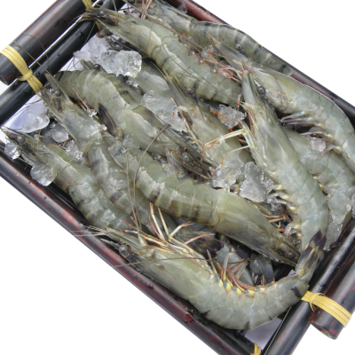 HOSO BLACK TIGER PRAWN