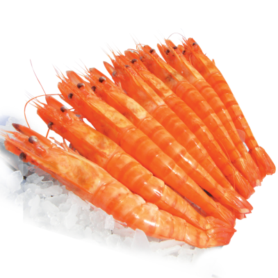 COOKED HOSO BLACK TIGER PRAWN