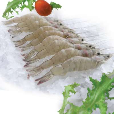HOSO VANNAMEI SHRIMP
