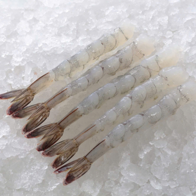 NOBASHI SHRIMP