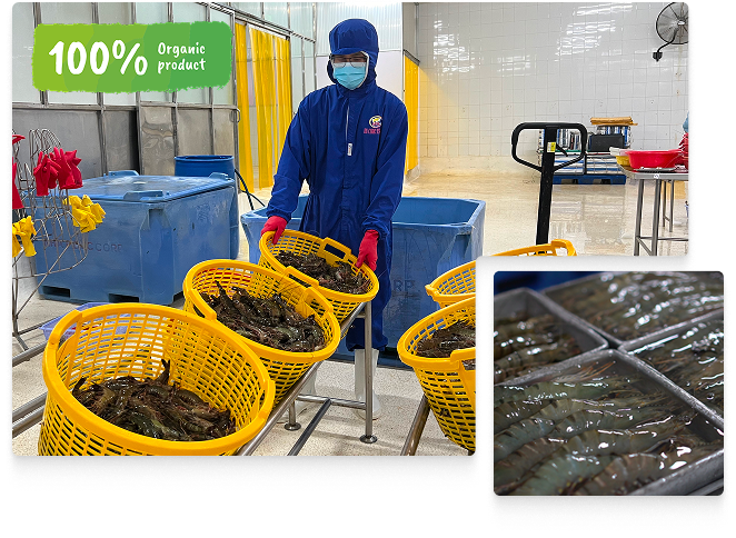 HUYNH THINH SEAFOOD CO., LTD
